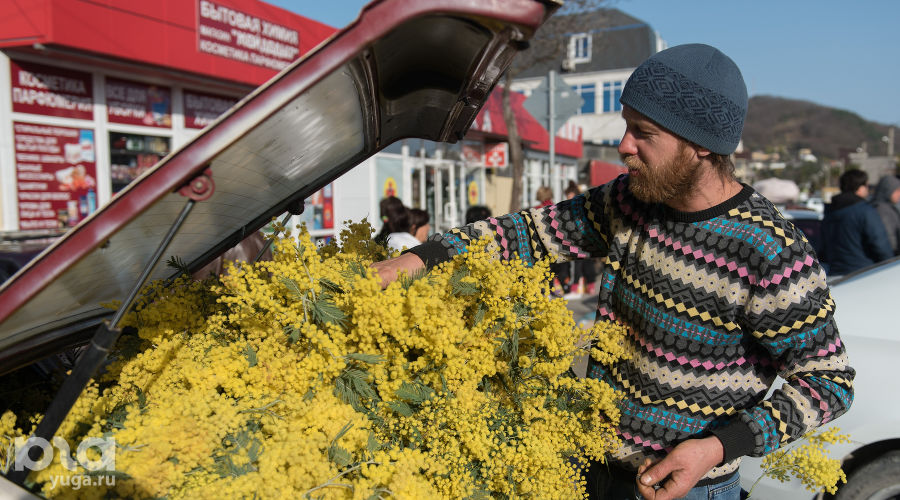  © Фото Нины Зотиной, Юга.ру