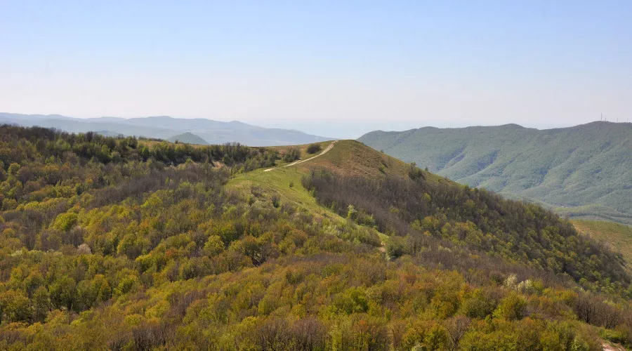  &copy;&nbsp;Фото Романа Мнацеканова / WWF России