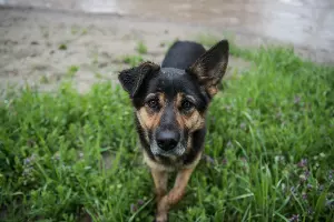  &copy;&nbsp;Фото Елены Синеок, Юга.ру