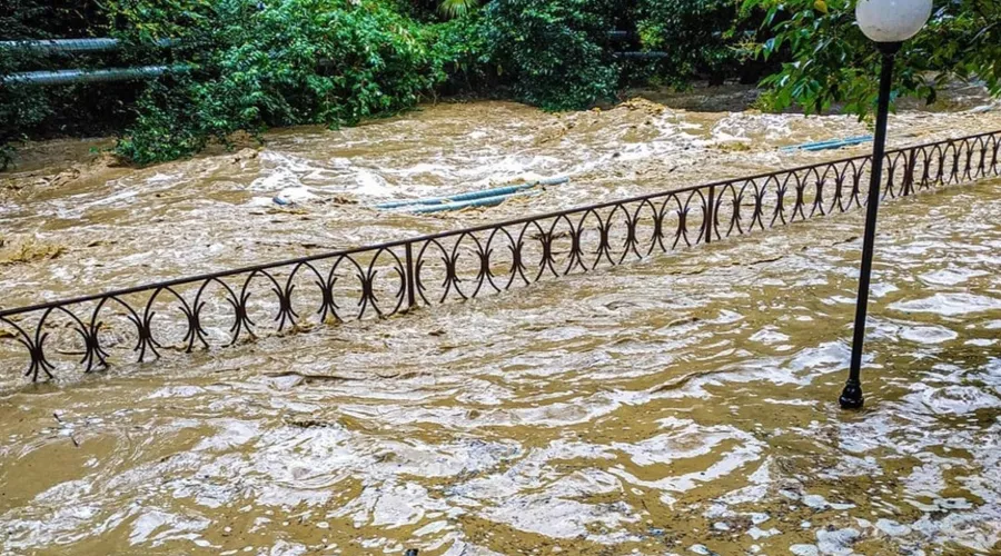  &copy;&nbsp;Фото из группы &laquo;Это Сочи, Детка! [Типичный Сочи]&raquo; в соцсети &laquo;ВКонтакте&raquo;, vk.com/sochi_official