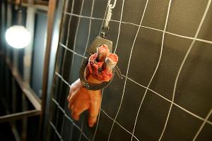  © Фото Евгения Мельченко, Юга.ру