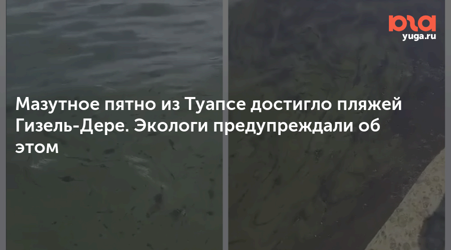 Мазутное пятно из Туапсе достигло пляжей Гизель-Дере. Экологи предупреждали об этом