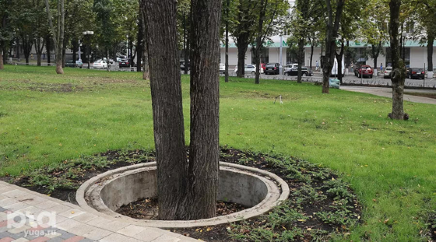 Отреставрированный парк перед кинотеатром "Аврора" &copy;&nbsp;Михаил Ступин, ЮГА.ру