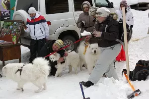  &copy;&nbsp;Фото Влада Александрова, Юга.ру