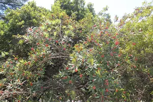  &copy;&nbsp;Фото пресс-службы сочинского нацпарка