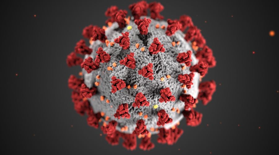 3D-модель коронавируса SARS-CoV-2 © Фото CDC/Alissa Eckert, MS; Dan Higgins, MAM с сайта commons.wikimedia.org