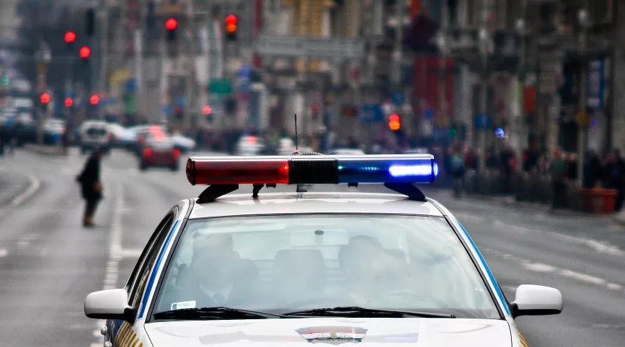  &copy;&nbsp;Фото с сайта pixabay.com