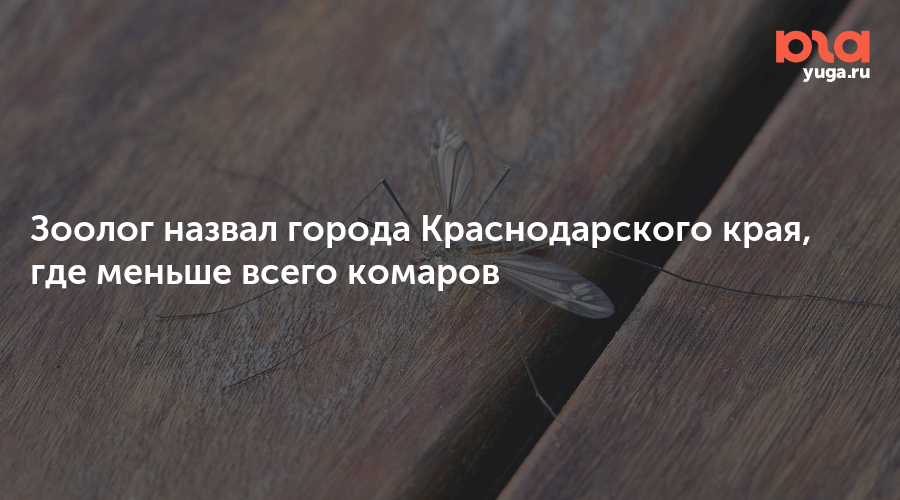 Зоолог назвал города Краснодарского края, где меньше всего комаров