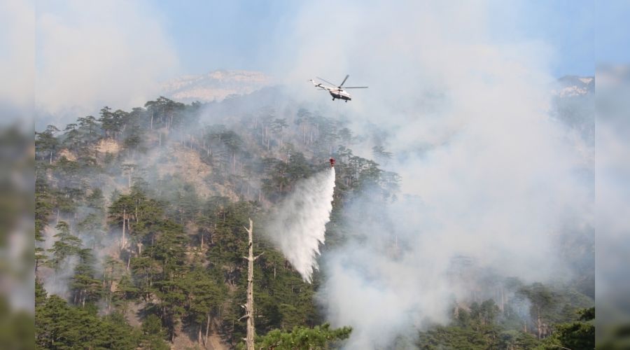 Пожар в урочище Уч-Кош &copy;&nbsp;Фото пресс-службы главы Республики Крым