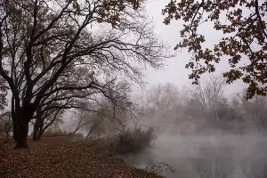  &copy;&nbsp;Фото Елены Синеок, Юга.ру