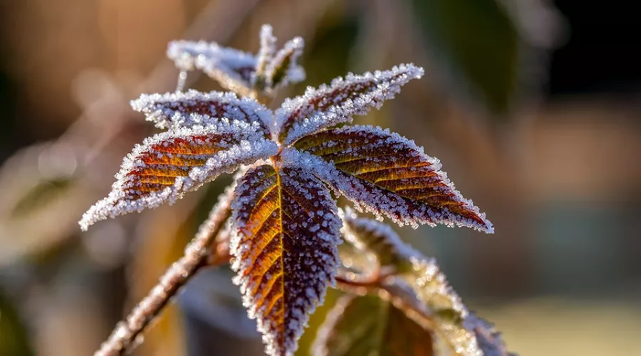  &copy;&nbsp;фото с сайта pixabay.com