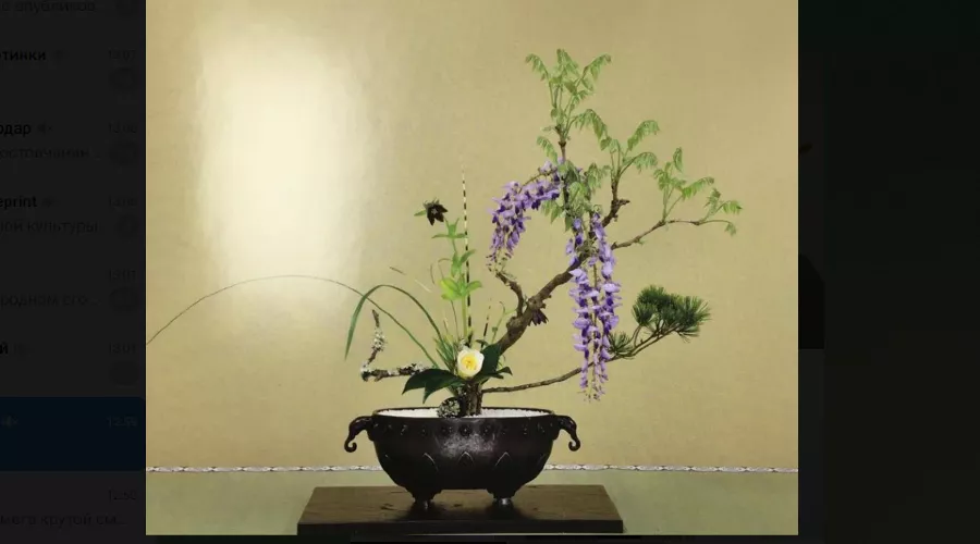  &copy;&nbsp;Скриншот фото из телеграм-канала парка &laquo;Краснодар&raquo;