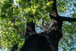  &copy;&nbsp;Фото Дмитрия Пославского, Юга.ру